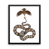 Spider-tailed horned viper framed print
