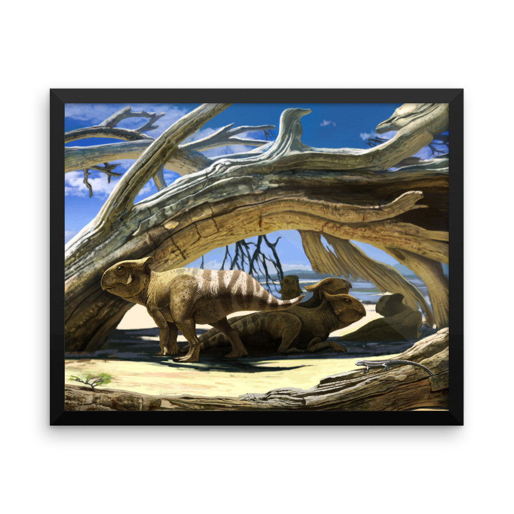 Protoceratops framed print