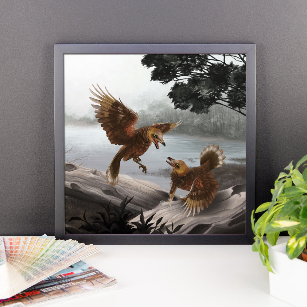 Iberomesornis framed print