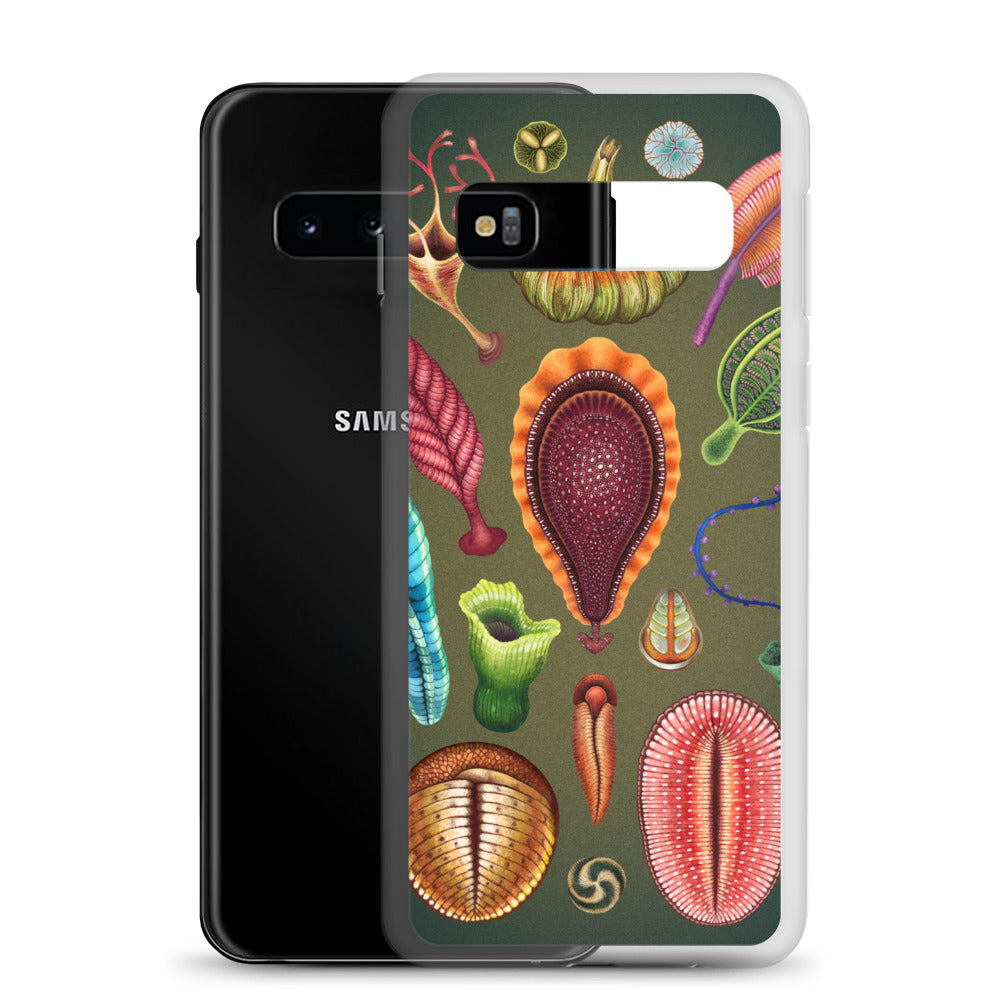 Ediacaran Samsung Case