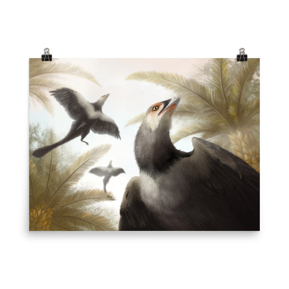 Archaeopteryx poster