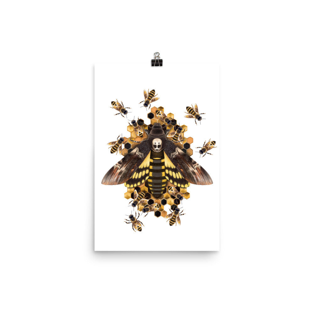 Death's head hawkmoth poster