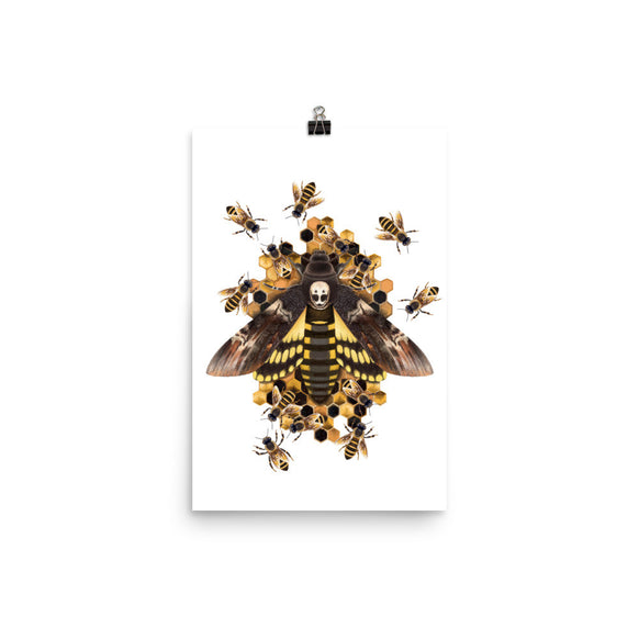 Death's head hawkmoth poster
