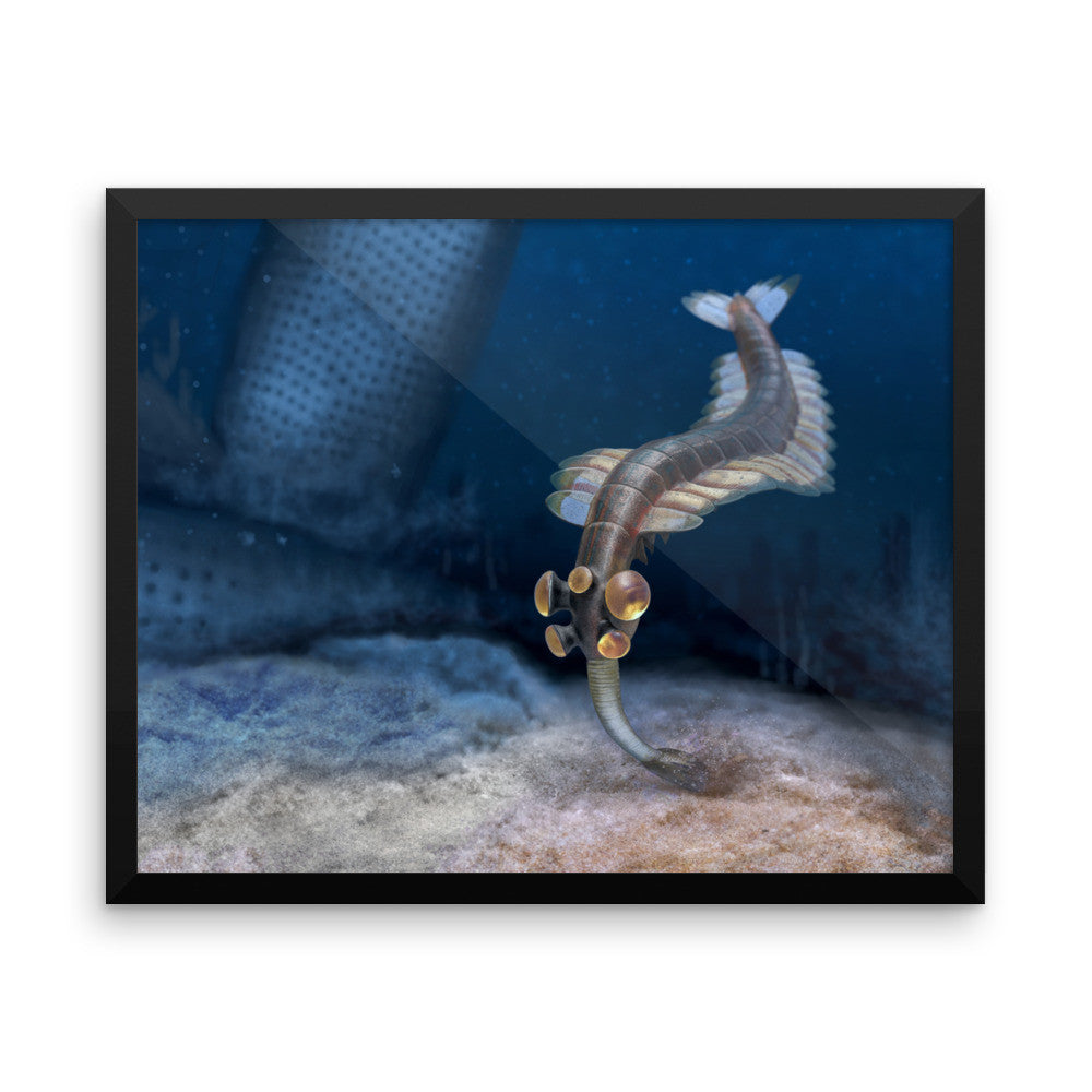 Opabinia framed print