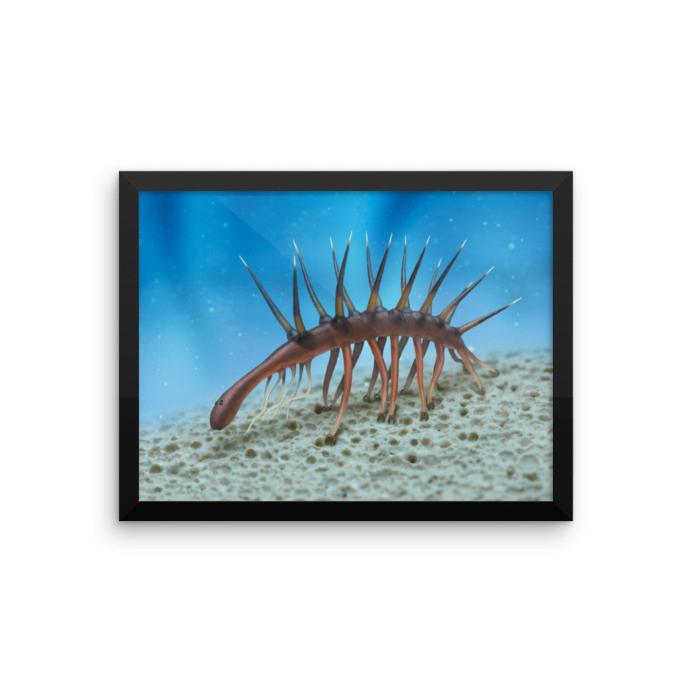 Hallucigenia framed print