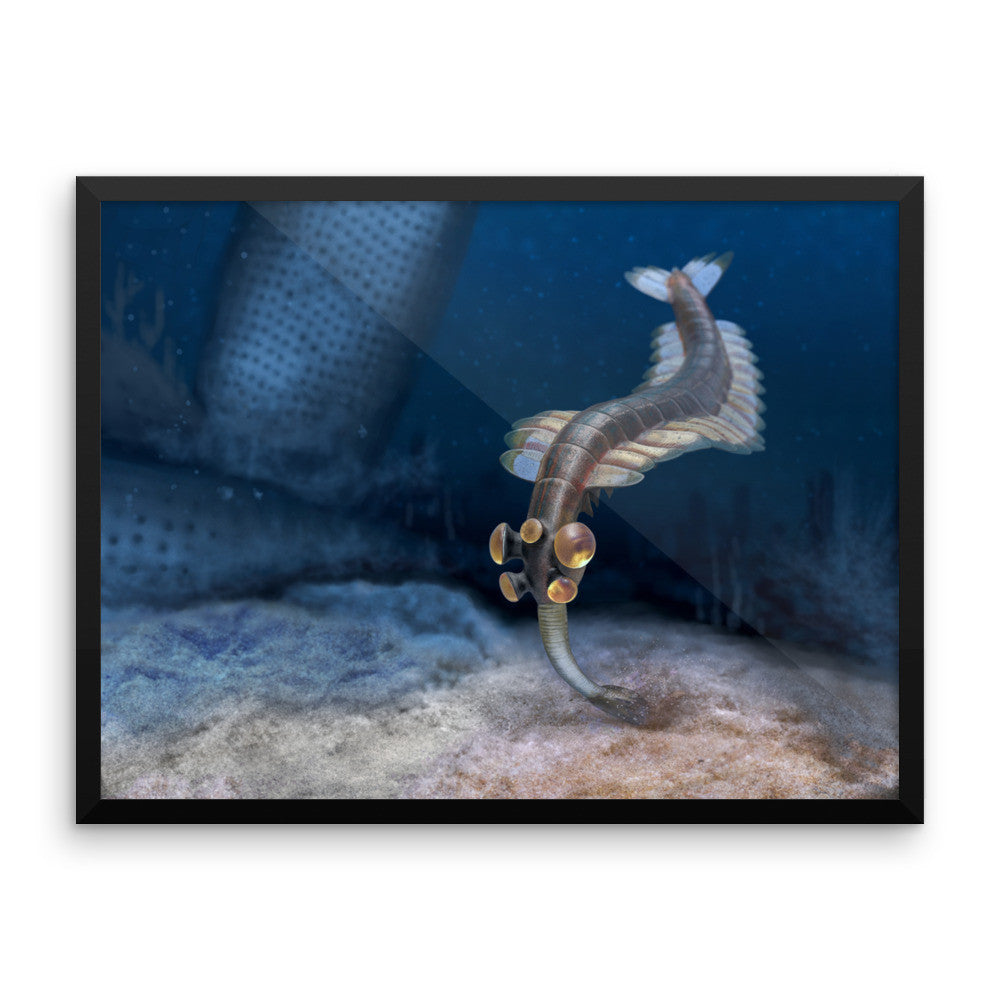 Opabinia framed print