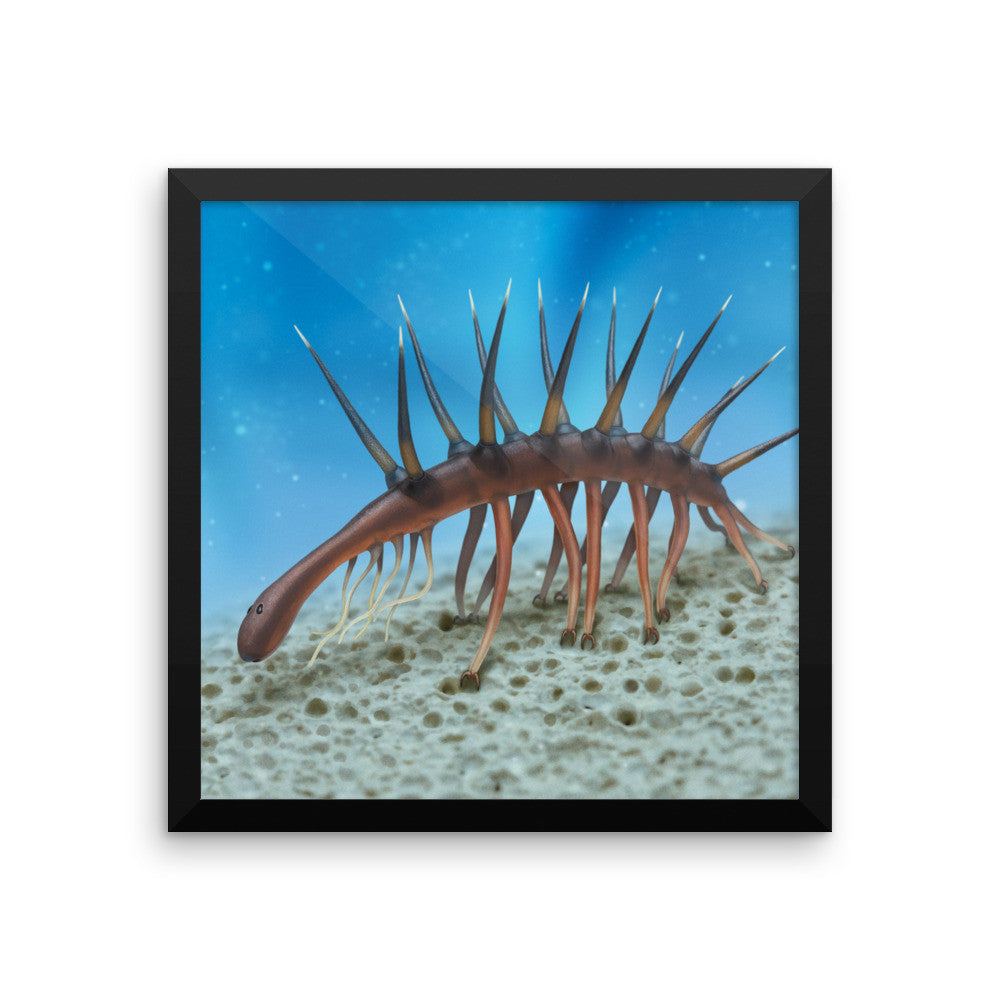 Hallucigenia framed print