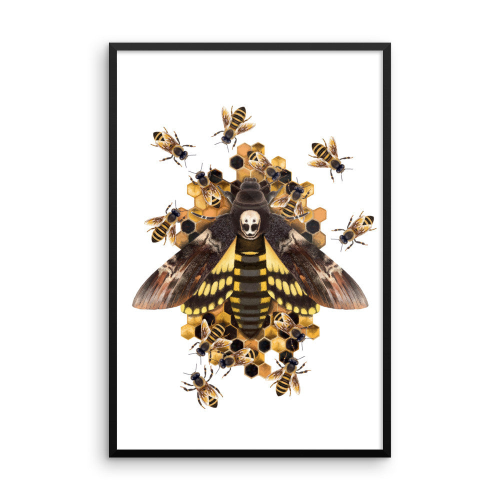 Death's head hawkmoth framed print