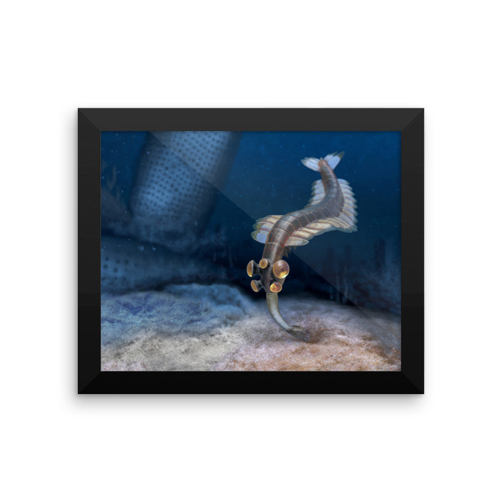 Opabinia framed print