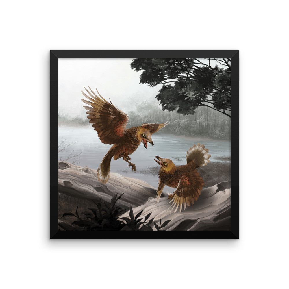 Iberomesornis framed print