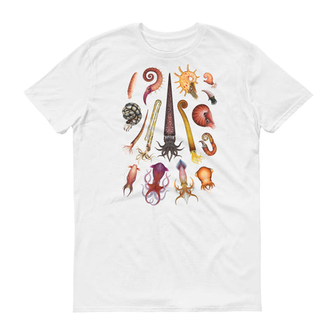 Cephalopods t-shirt