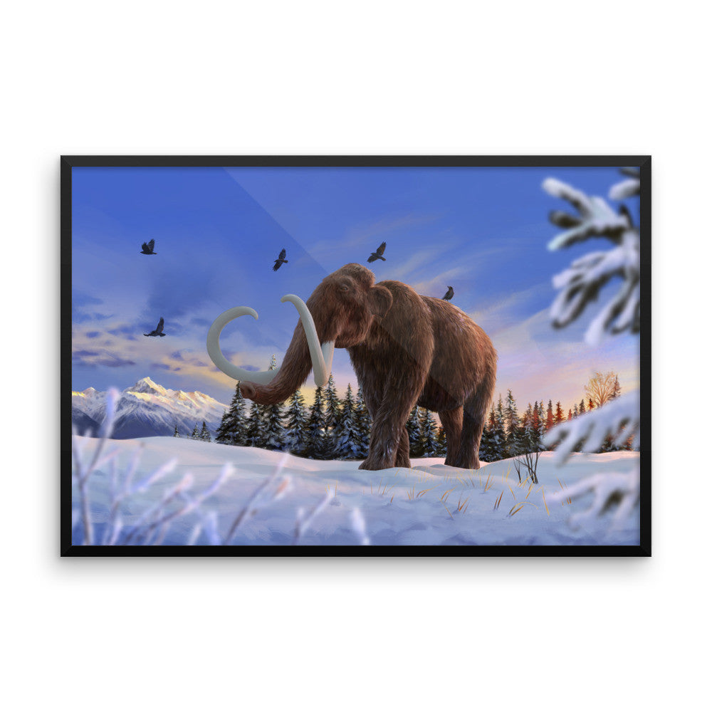 Woolly mammoth framed print