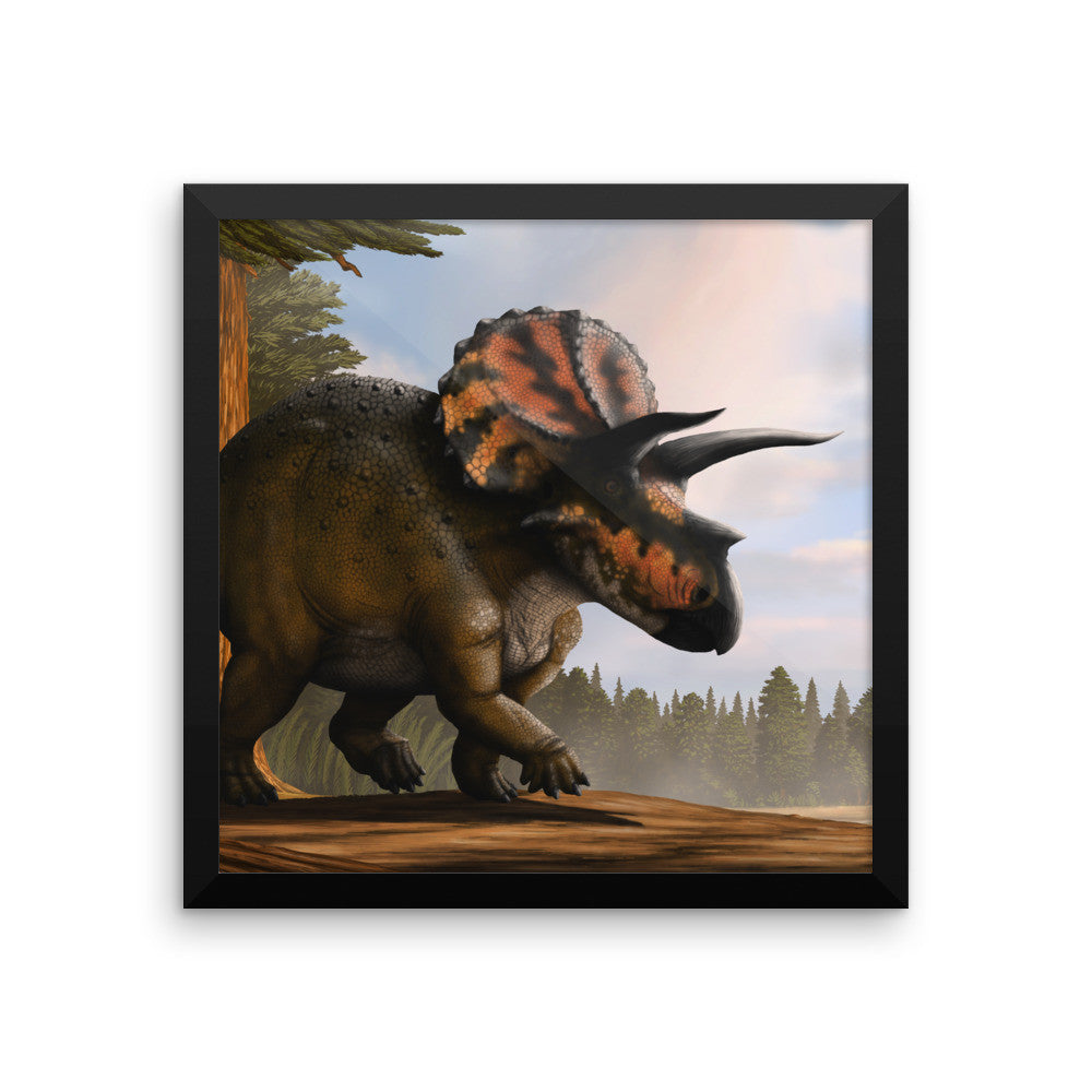 Triceratops framed print