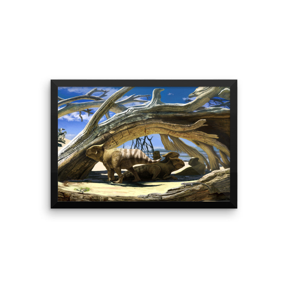 Protoceratops framed print