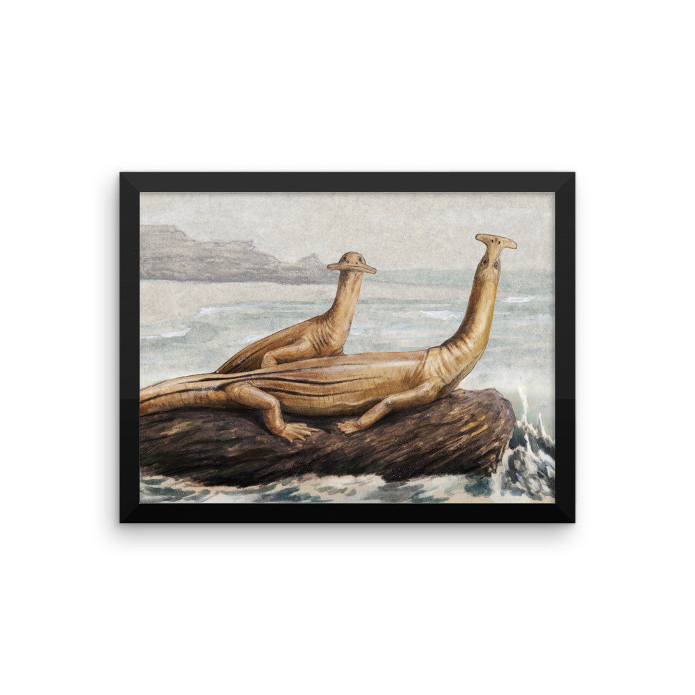 Atopodentatus framed print