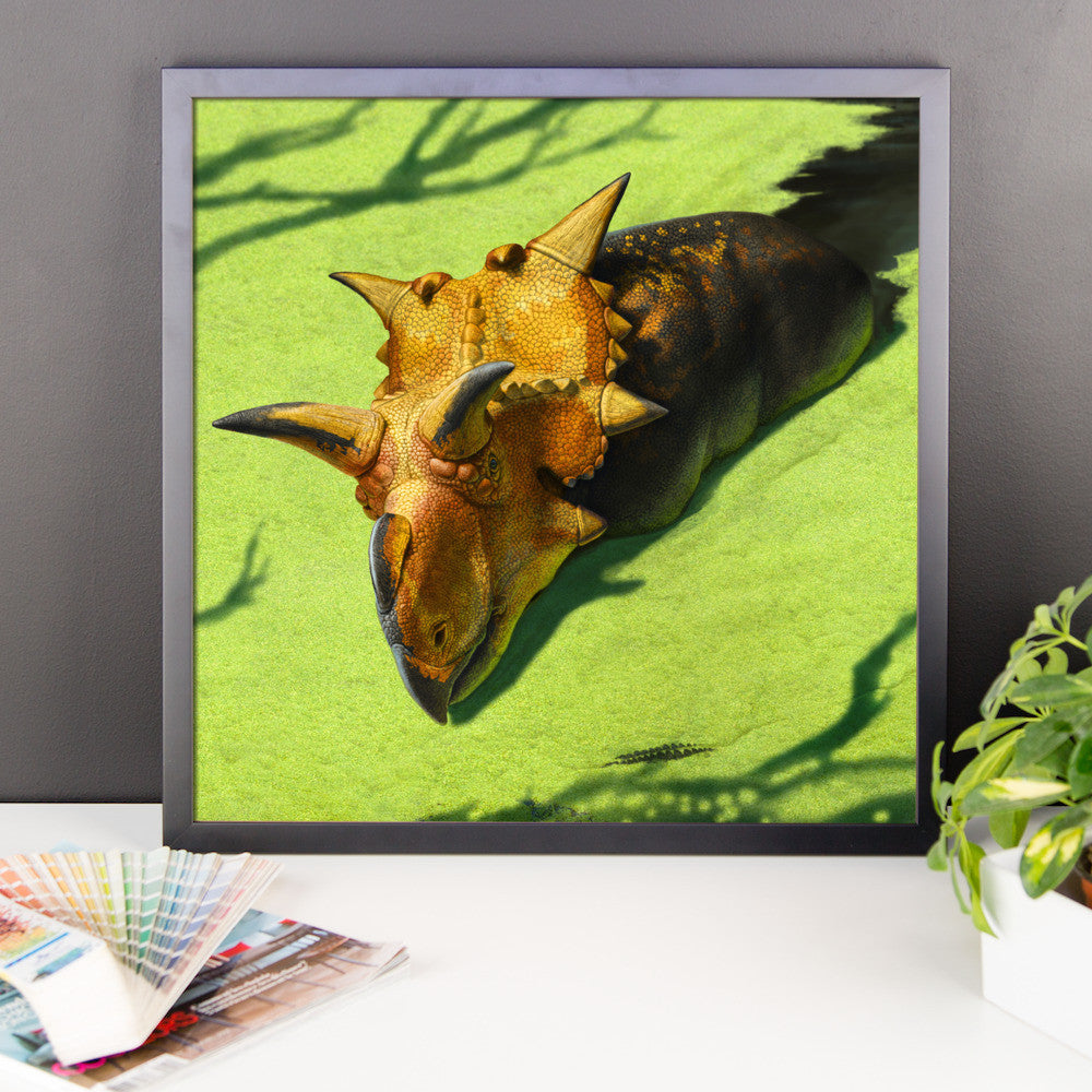 Xenoceratops framed print