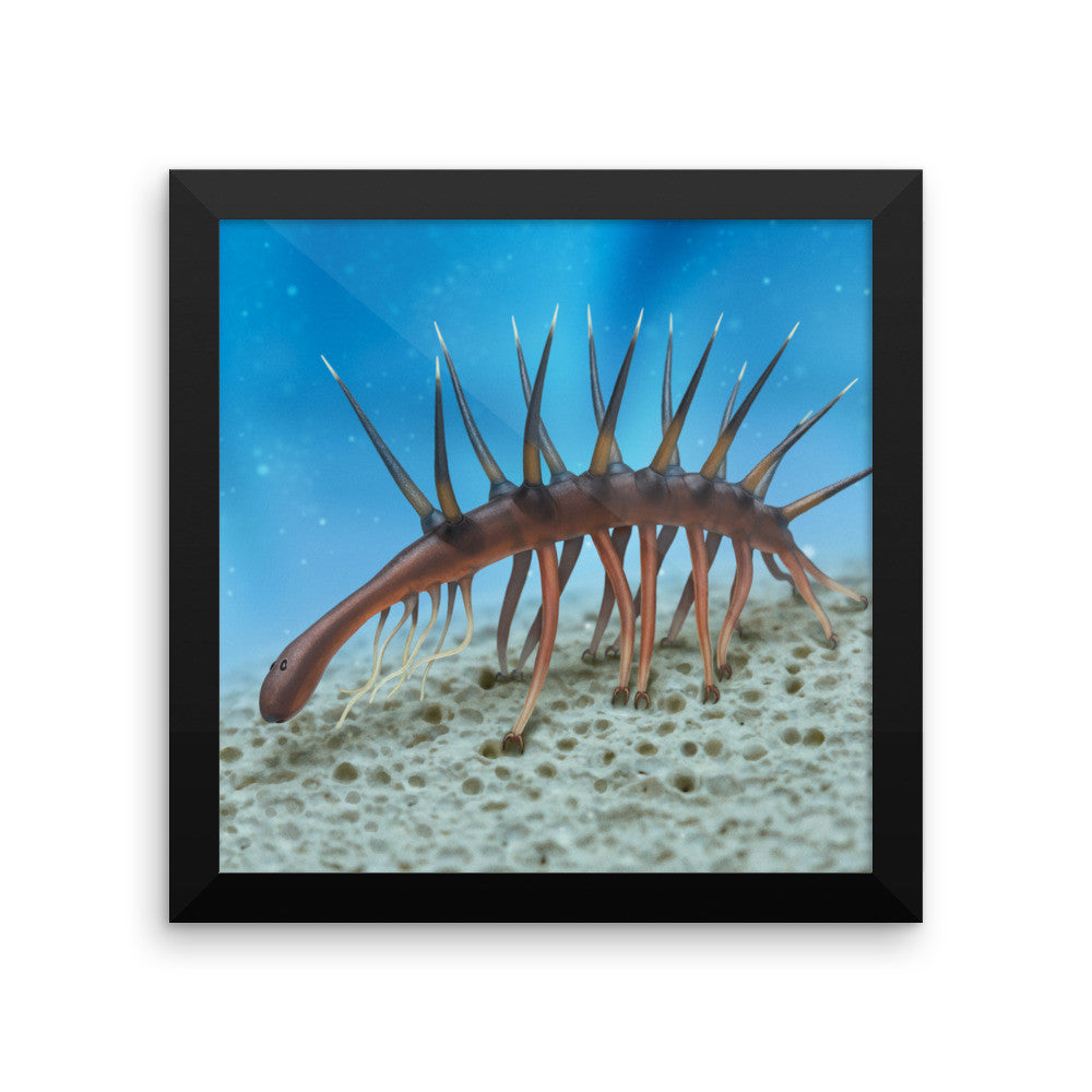 Hallucigenia framed print