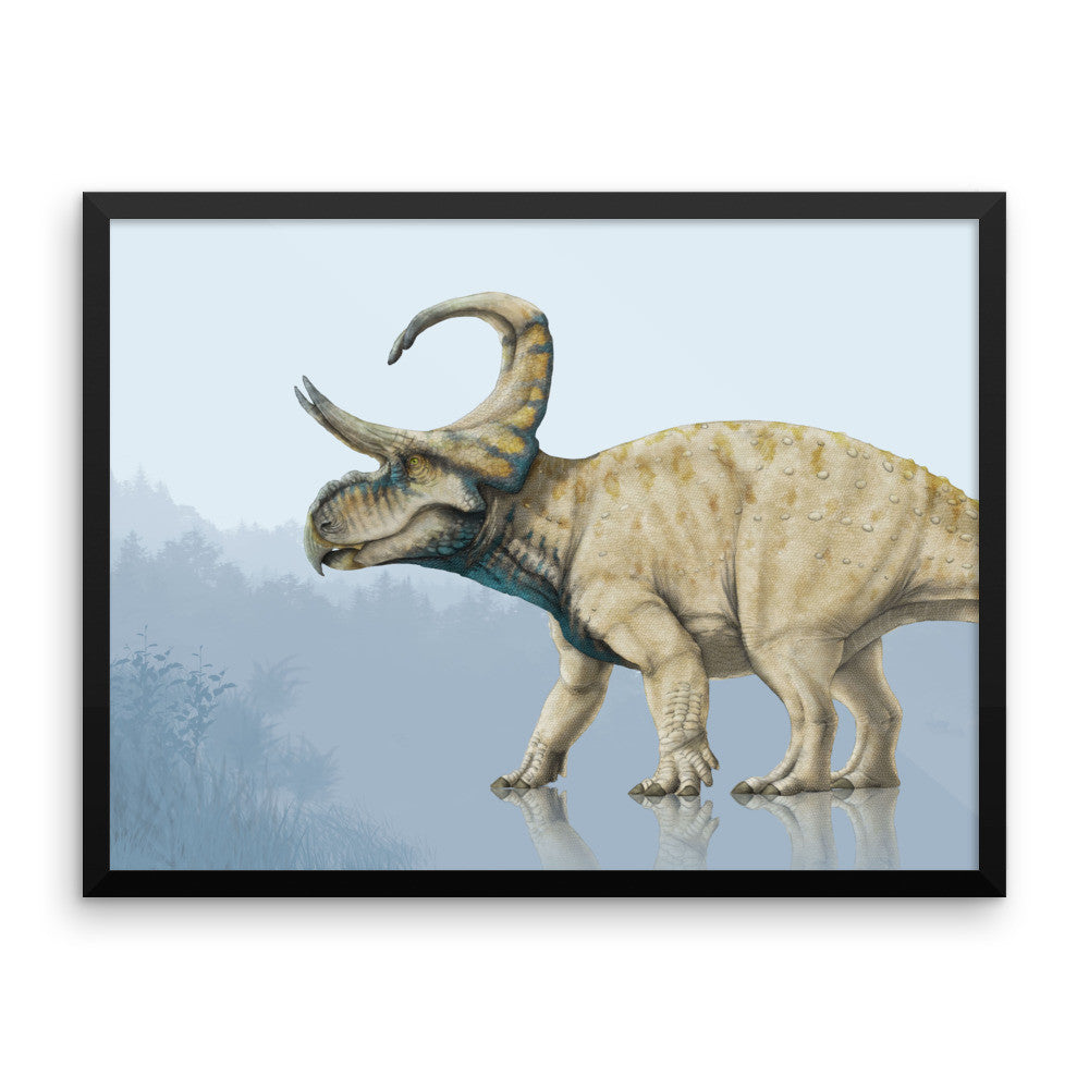 Machairoceratops framed print