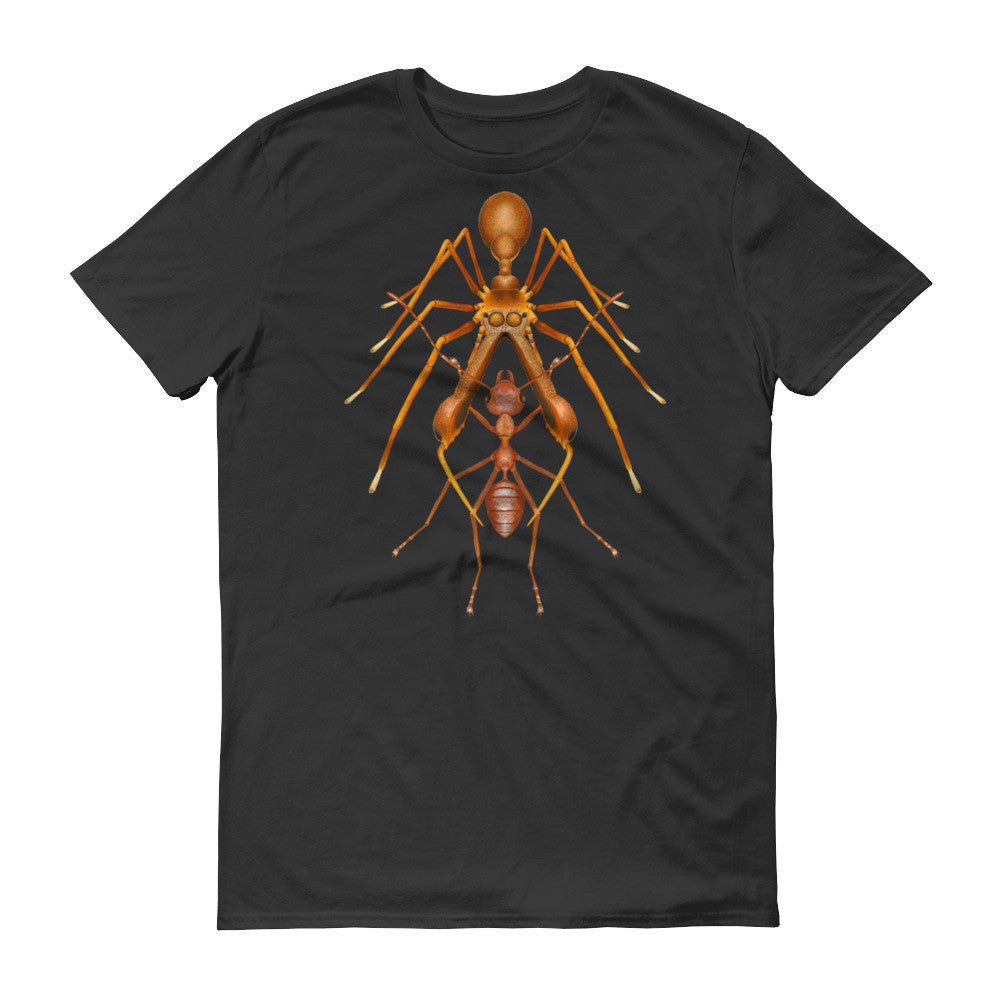 Antmimicking spider t-shirt