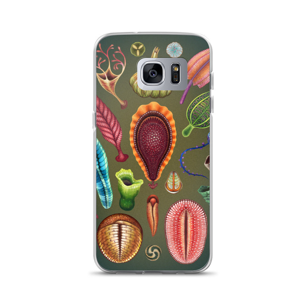 Ediacaran Samsung Case