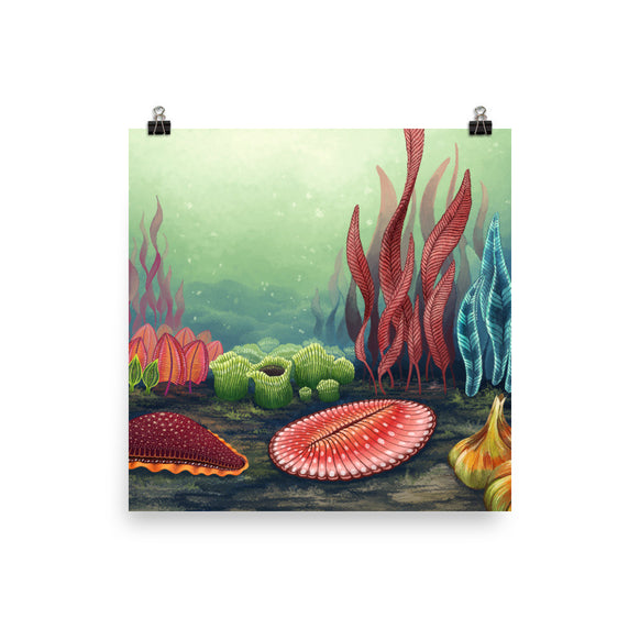 Garden of Ediacara poster