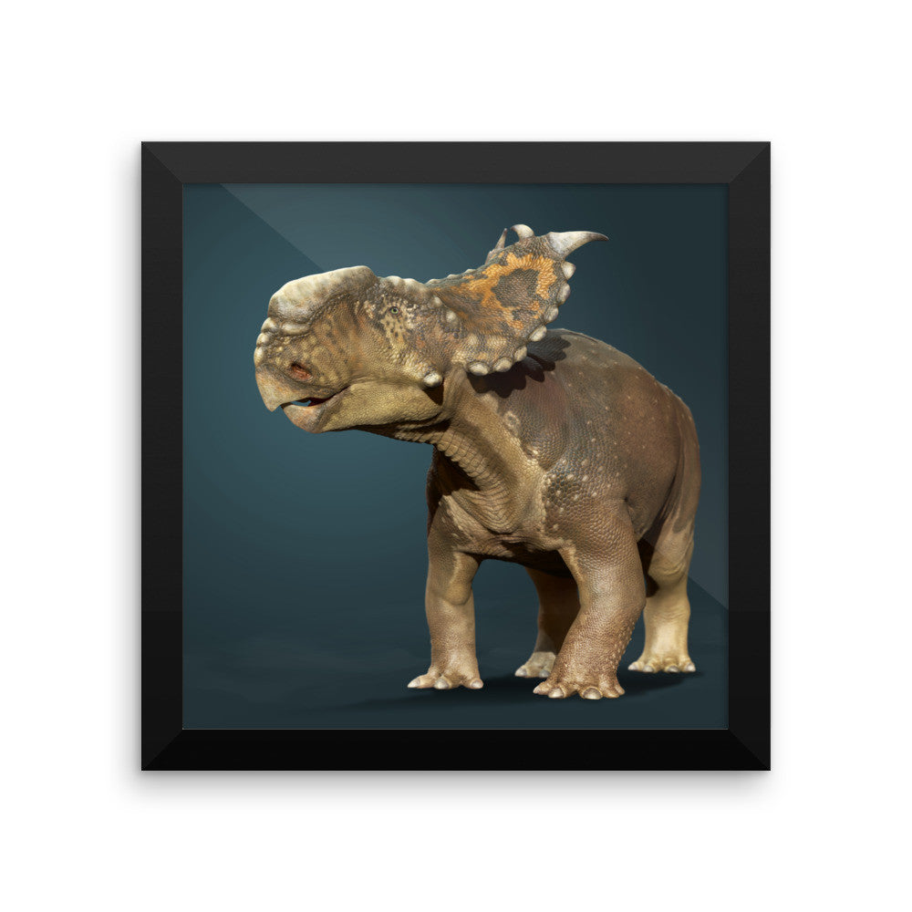 Pachyrhinosaurus framed print