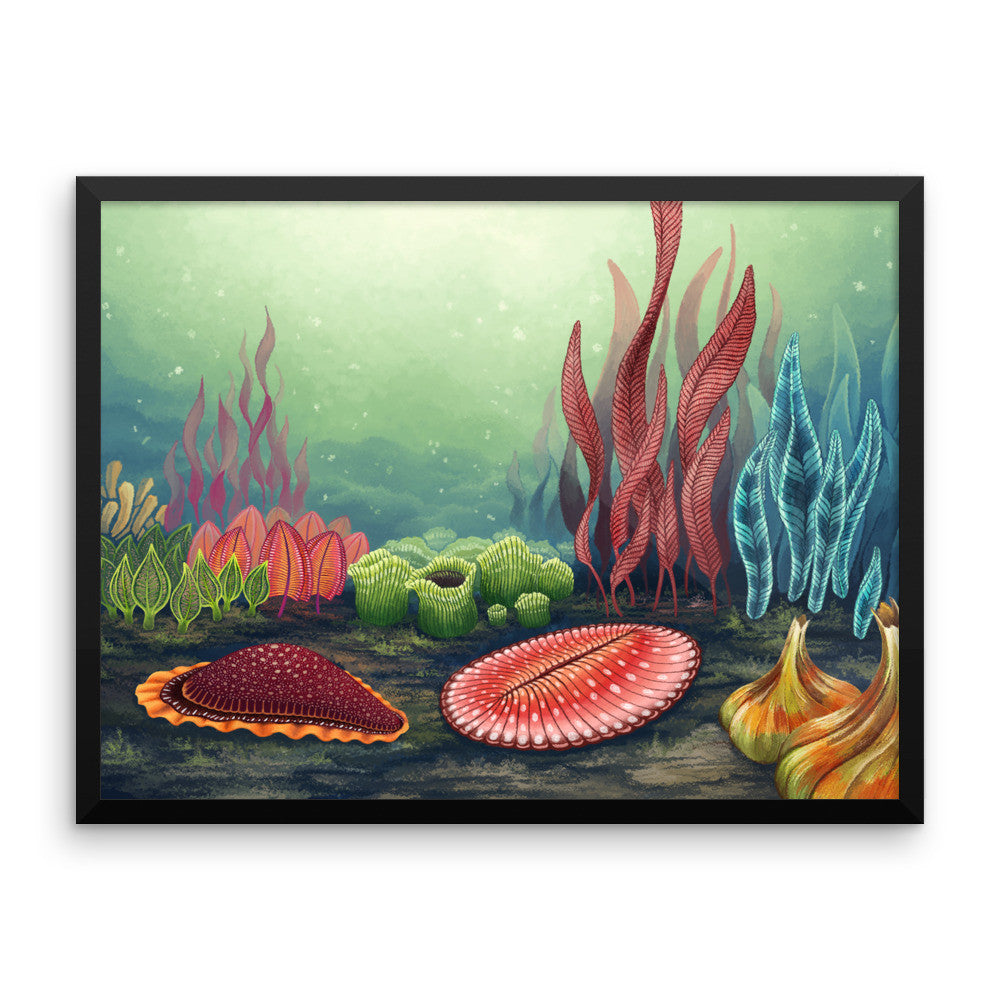 Garden of Ediacara framed print