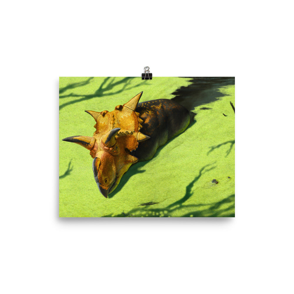 Xenoceratops poster