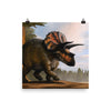 Triceratops poster