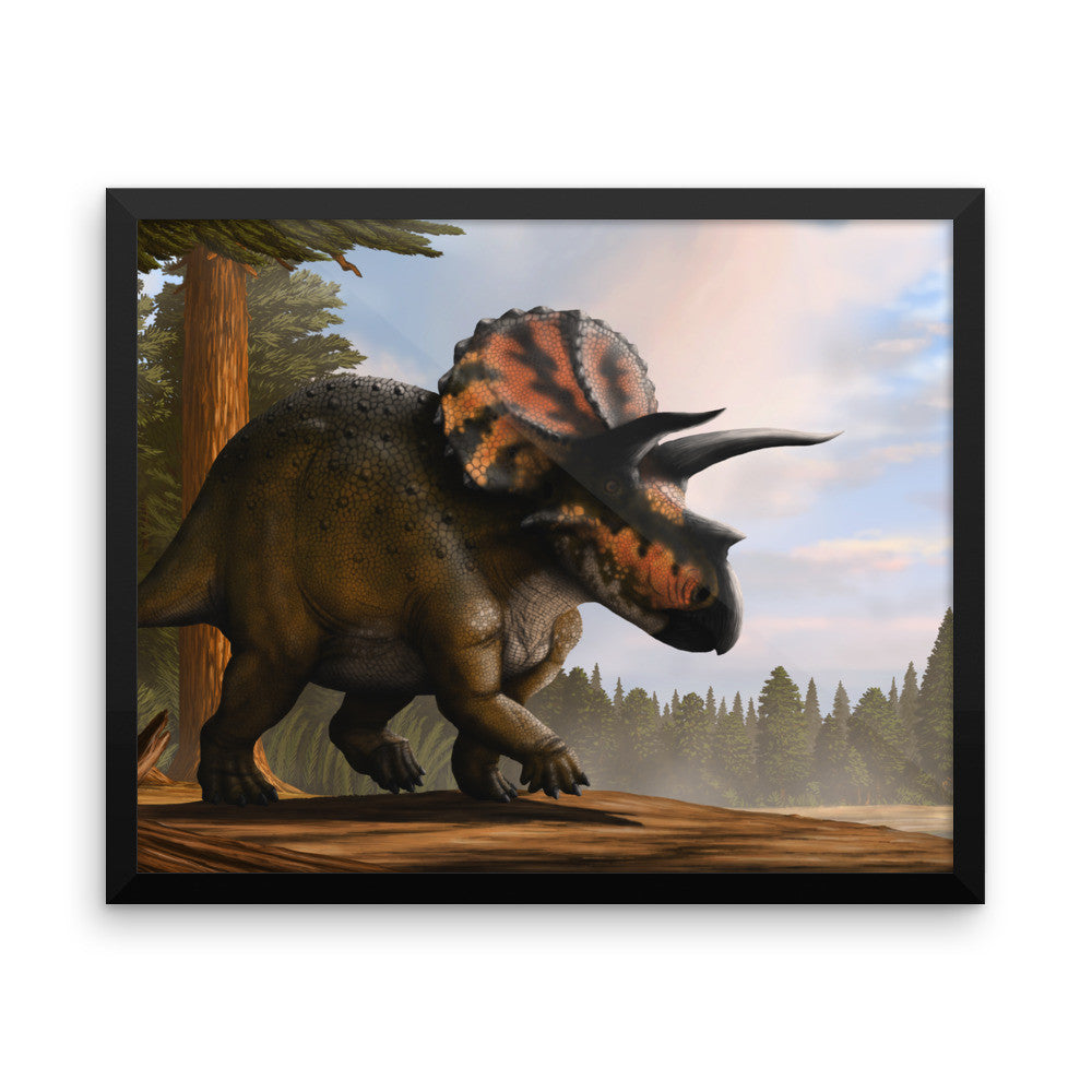 Triceratops framed print