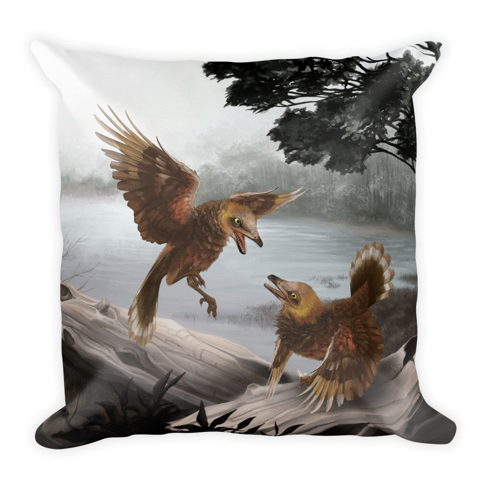 Iberomesornis pillow