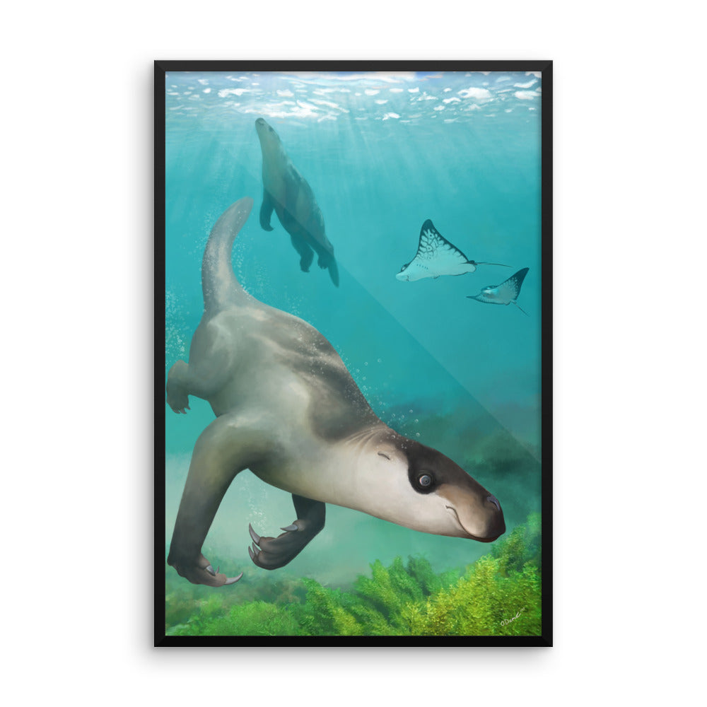 Thalassocnus framed print