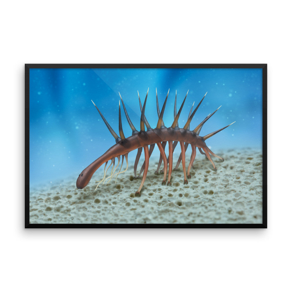 Hallucigenia framed print