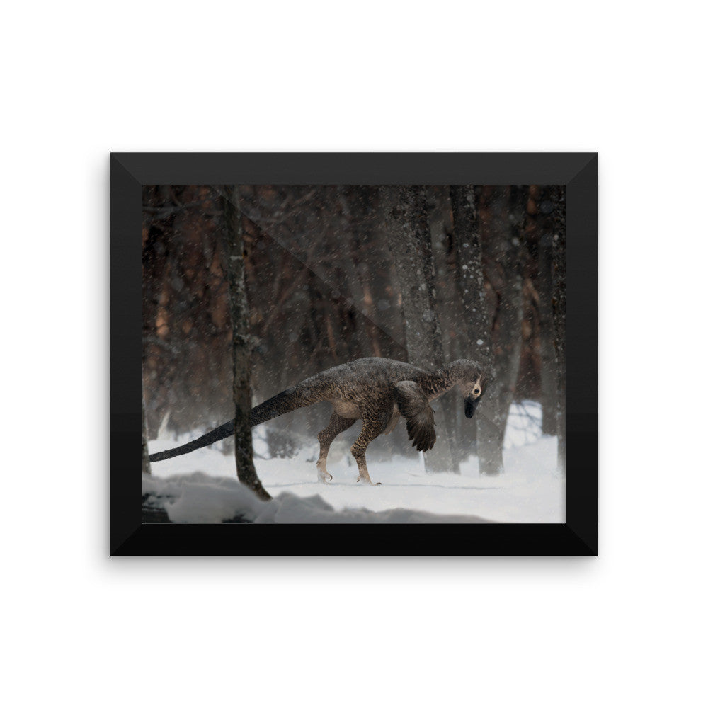 Alaskan troodontid framed print