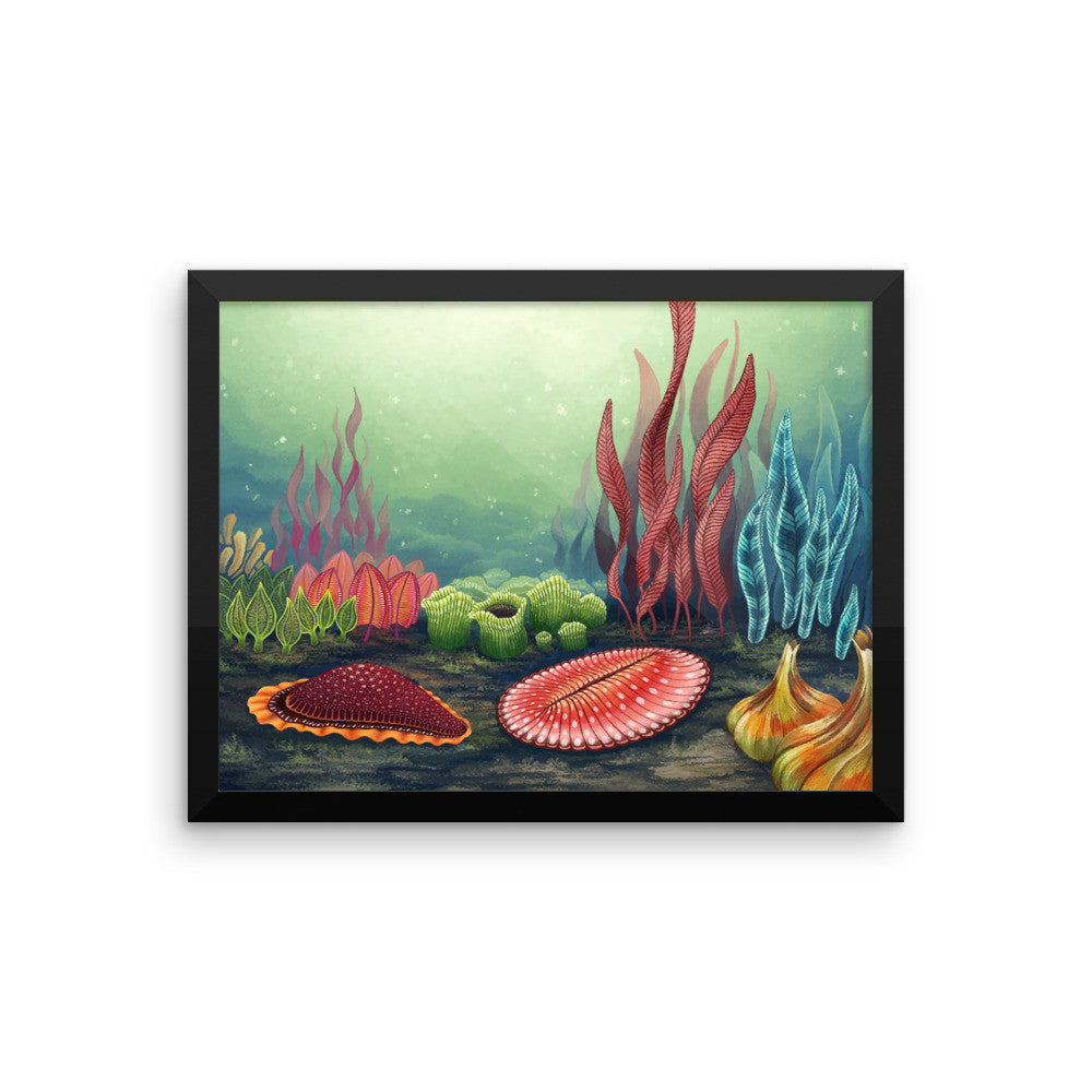 Garden of Ediacara framed print