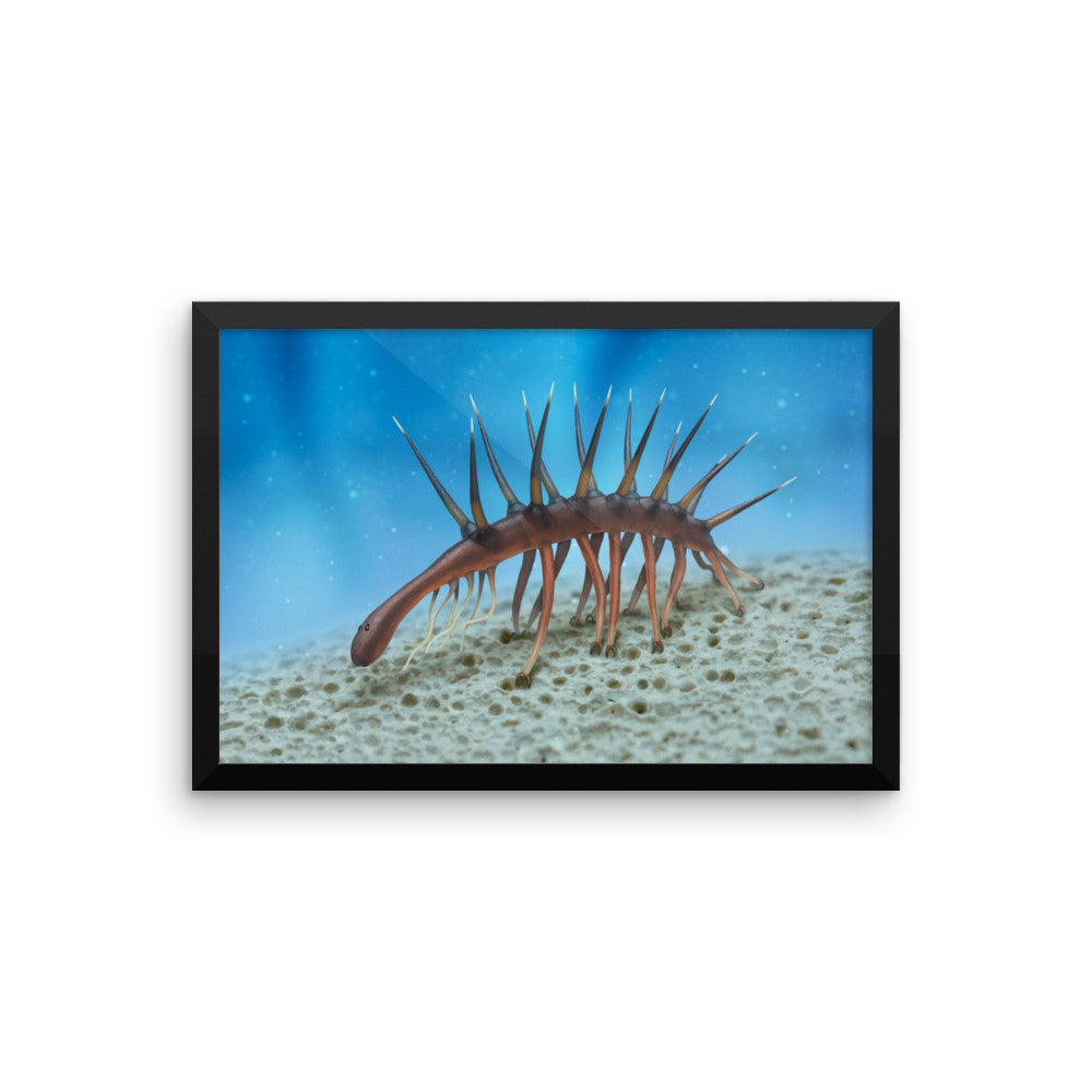 Hallucigenia framed print