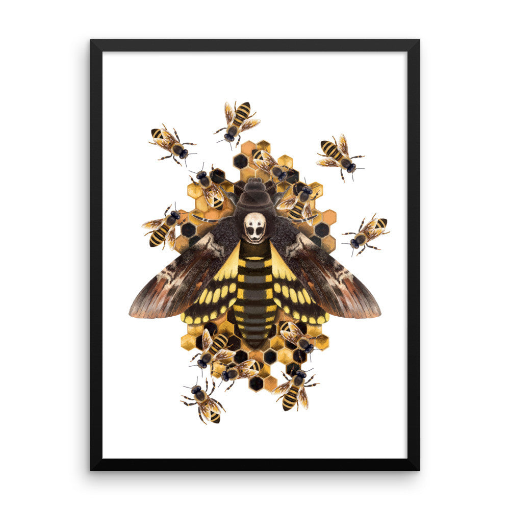 Death's head hawkmoth framed print