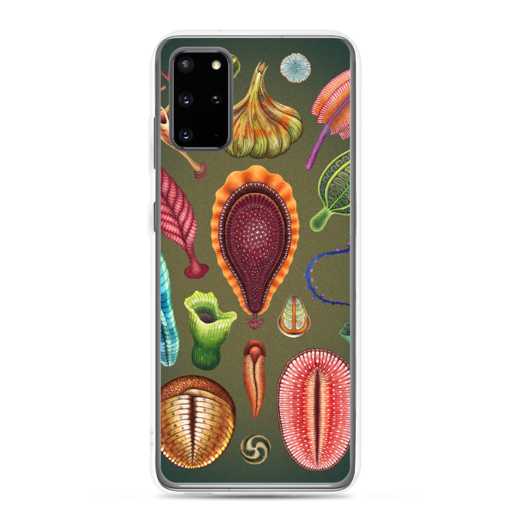 Ediacaran Samsung Case