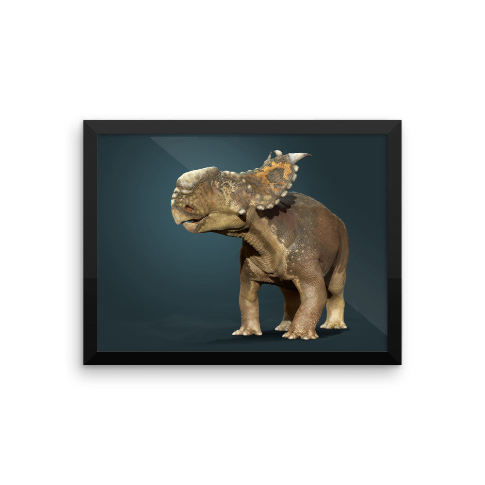 Pachyrhinosaurus framed print