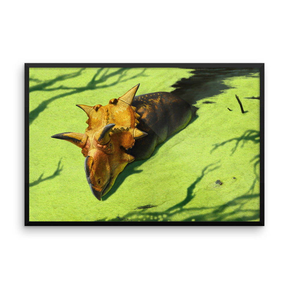 Xenoceratops framed print