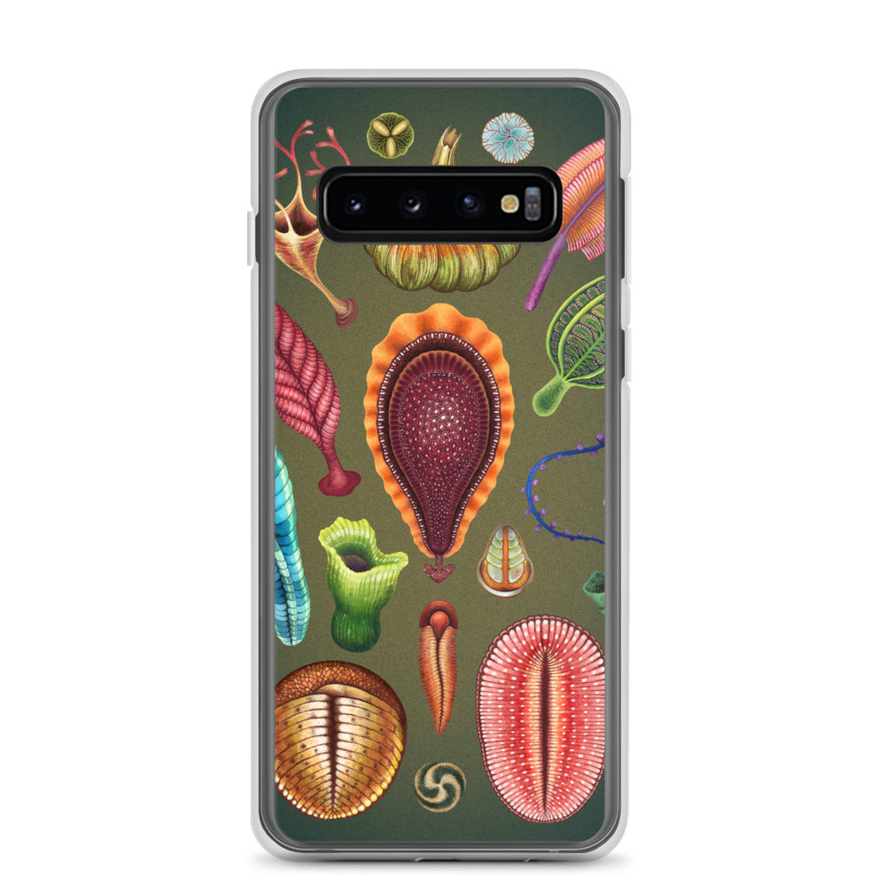 Ediacaran Samsung Case