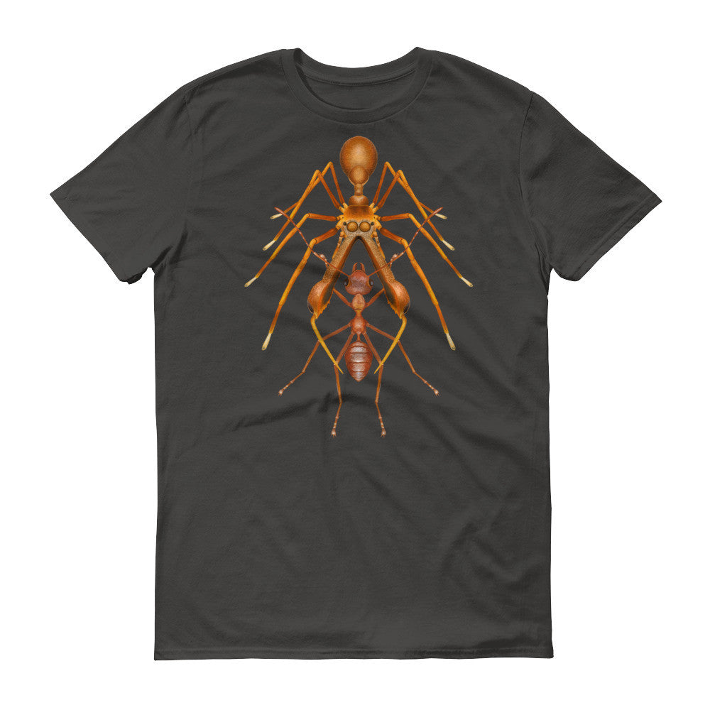 Antmimicking spider t-shirt