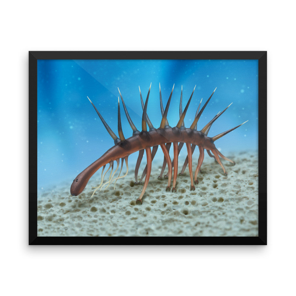 Hallucigenia framed print