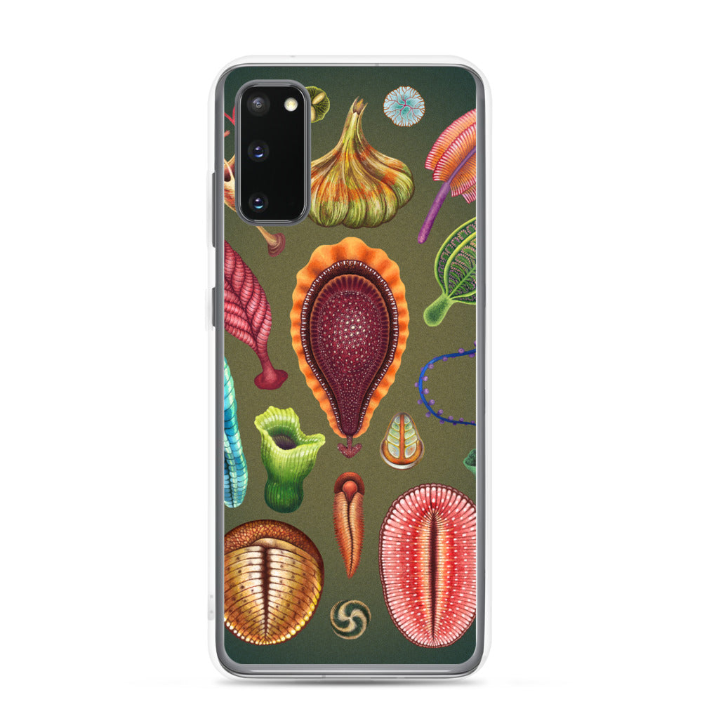 Ediacaran Samsung Case