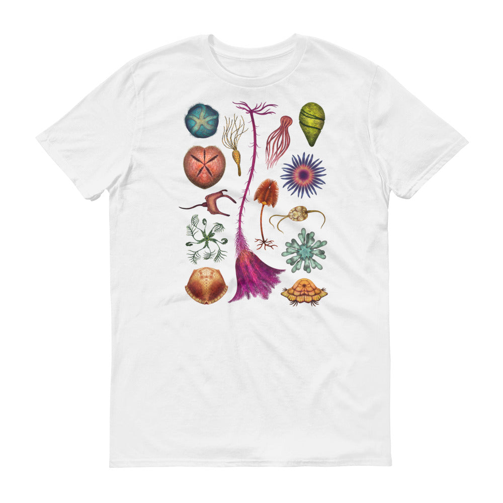 Echinoderms T-Shirt