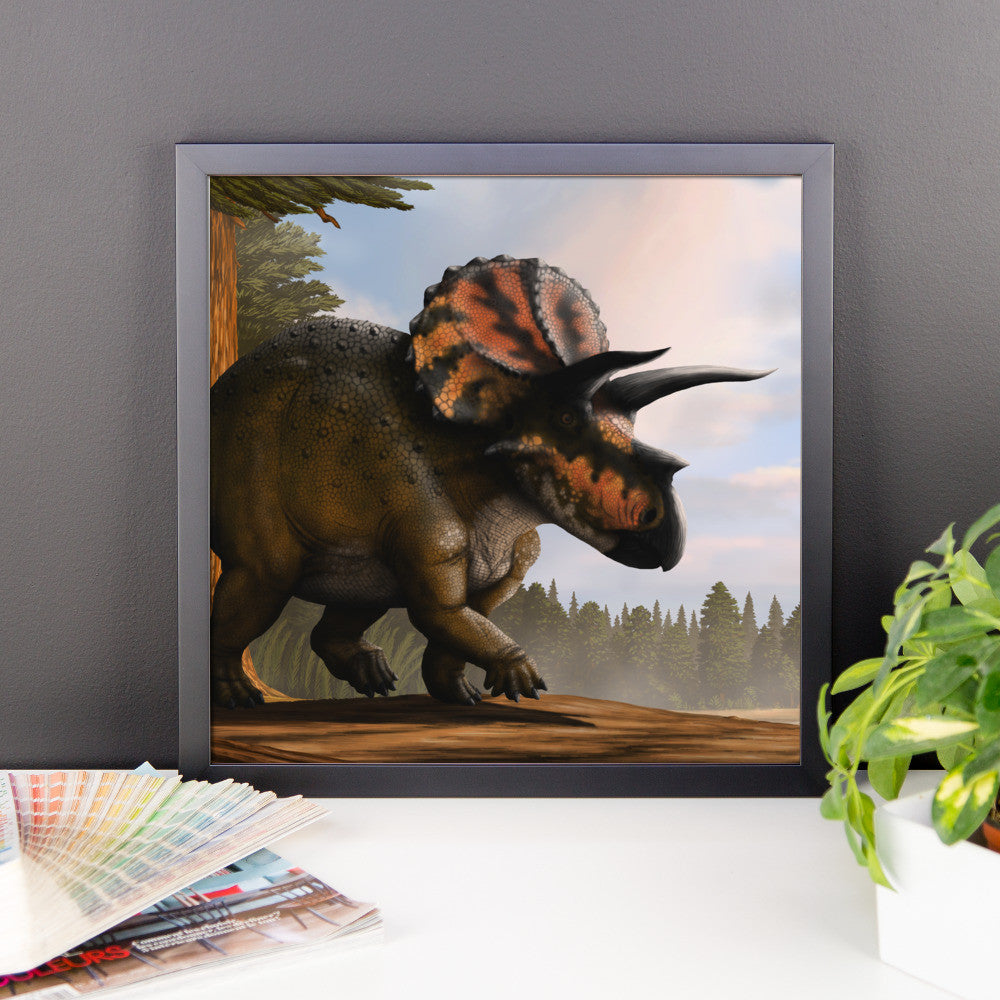 Triceratops framed print