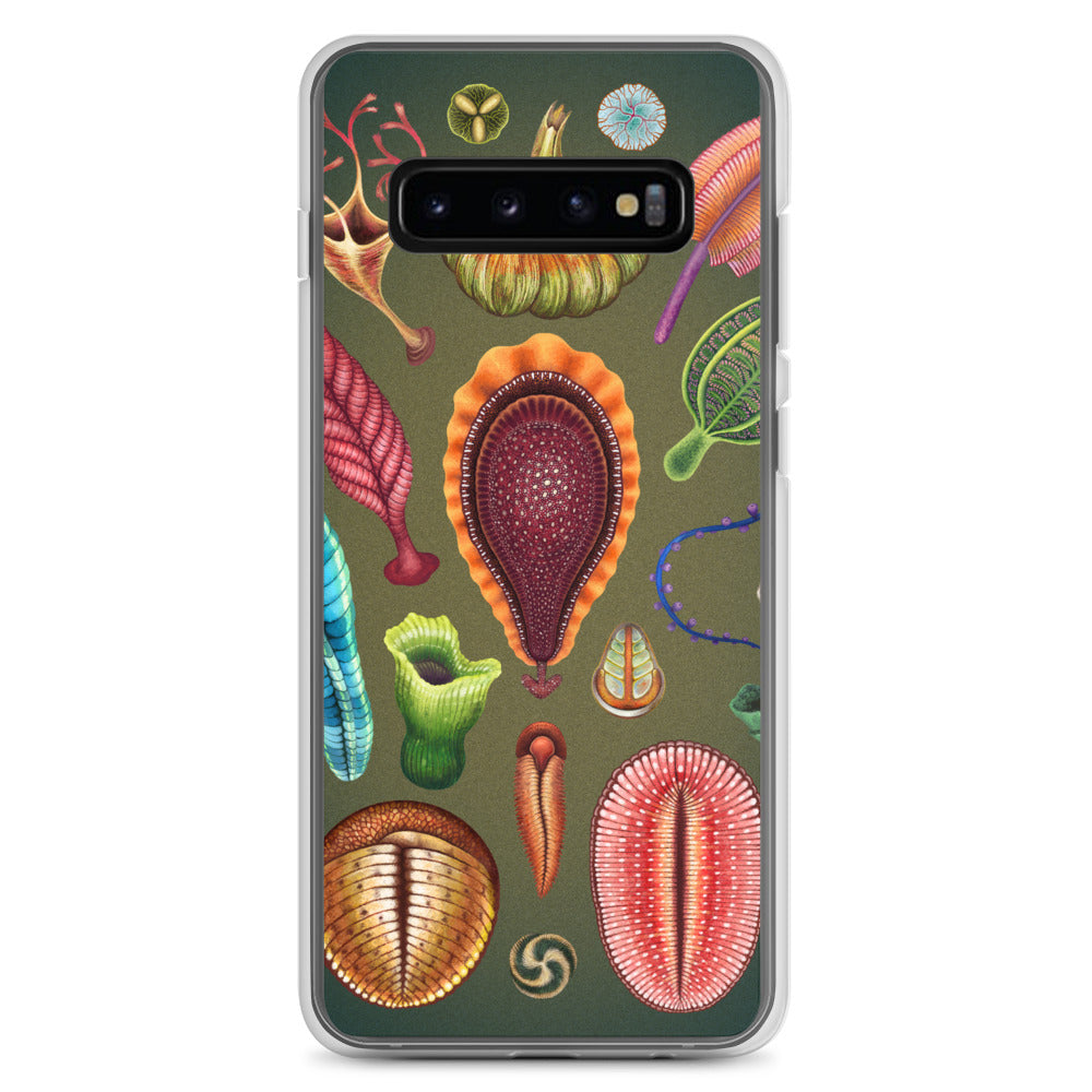 Ediacaran Samsung Case