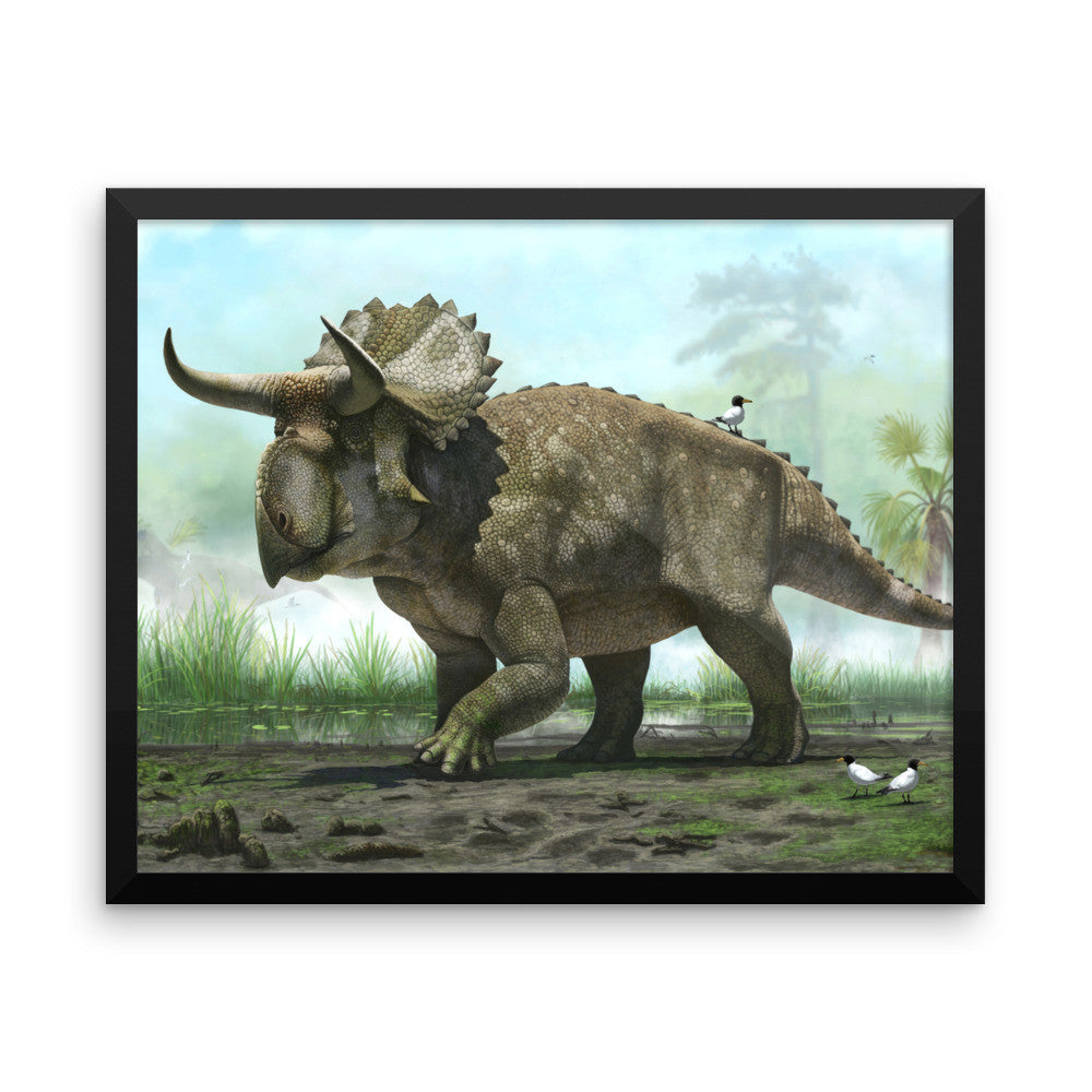 Nasutoceratops framed print