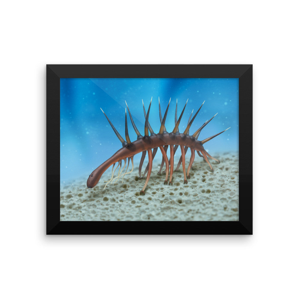 Hallucigenia framed print