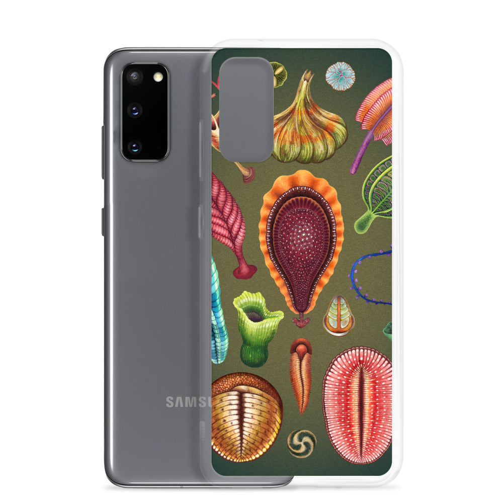 Ediacaran Samsung Case